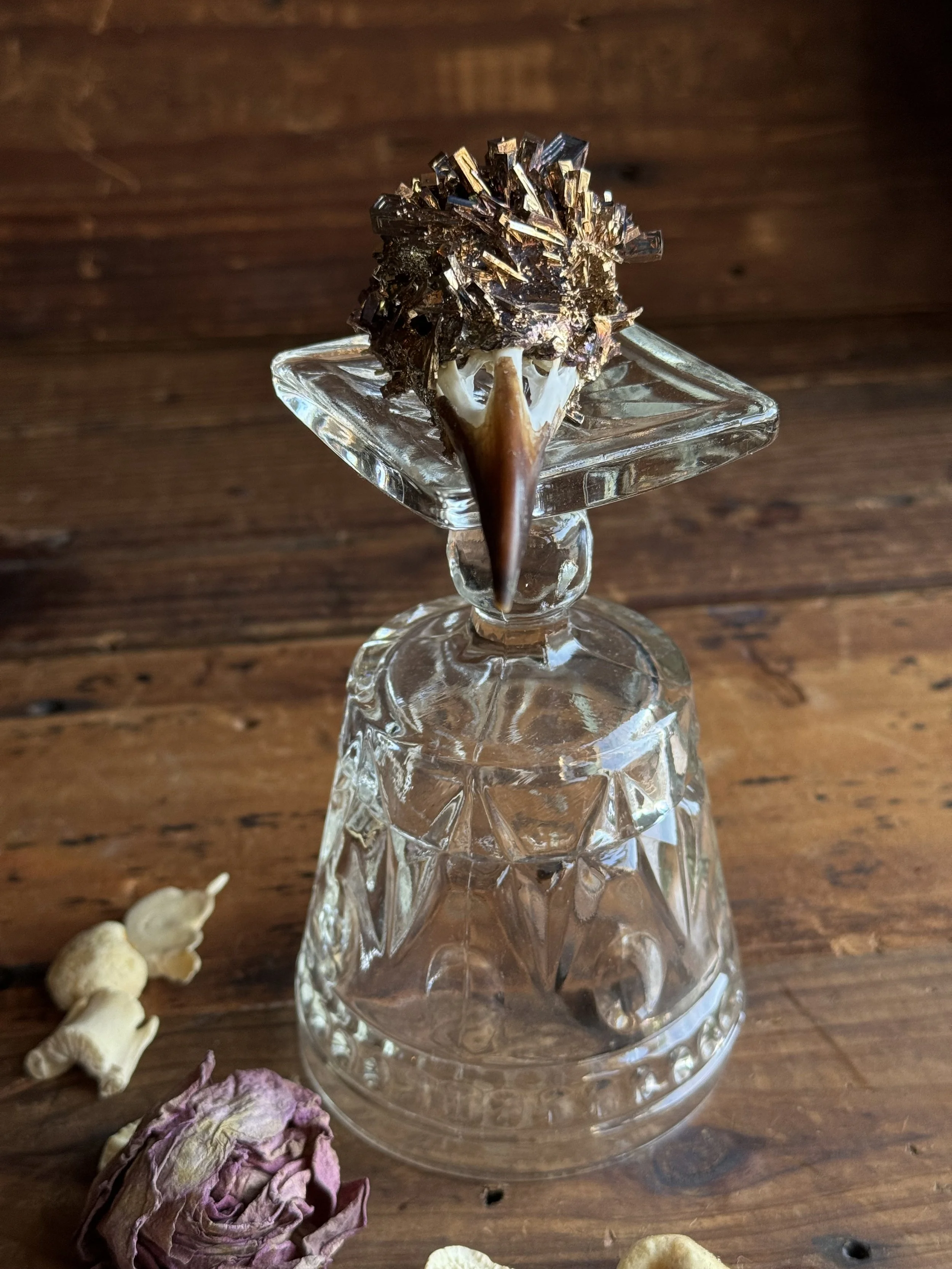 Bismuth Crystalized Bird Skull — Sideshow Gallery